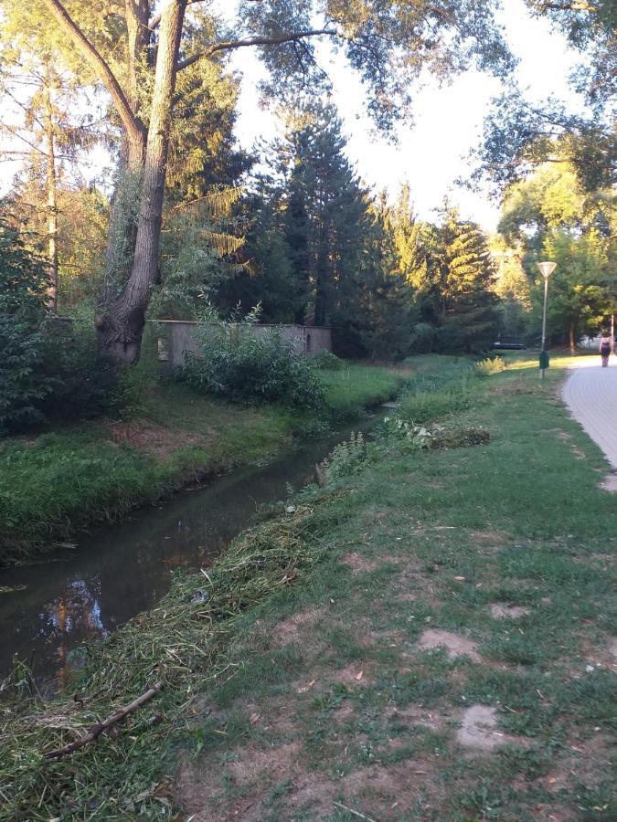 Galeria Villa Veszprém Dış mekan fotoğraf