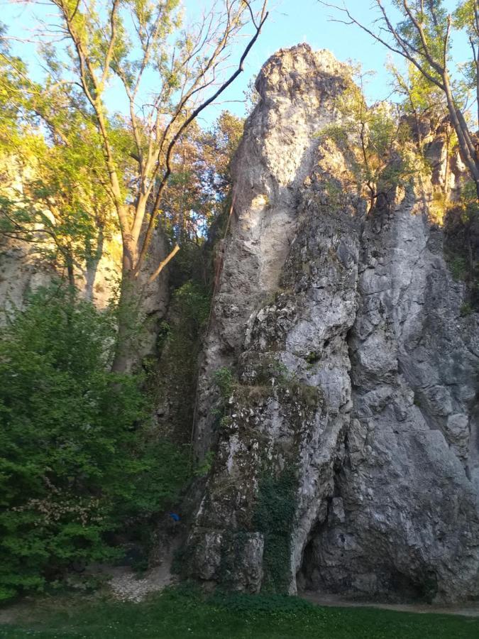 Galeria Villa Veszprém Dış mekan fotoğraf